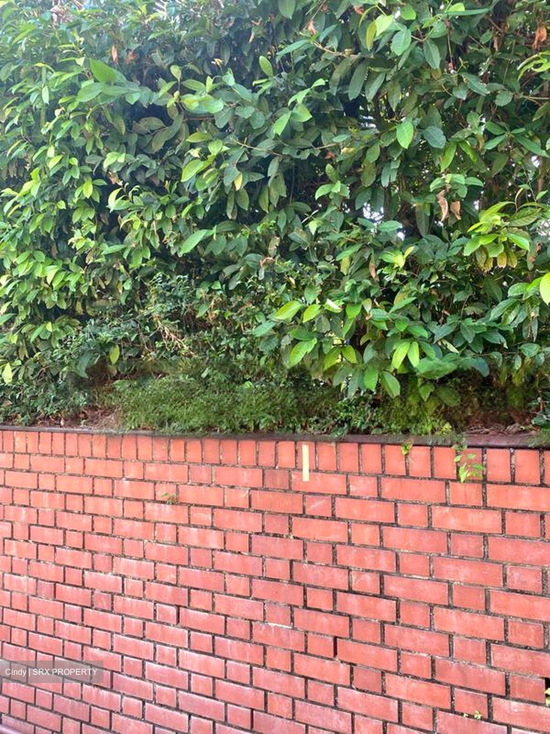 Sunset Way (D21), Detached #461783131